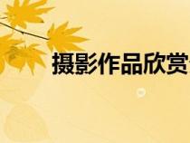 摄影作品欣赏分析（摄影作品分析）