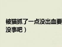 被猫抓了一点没出血要打针吗(被猫抓一小点出血了不打针没事吧) 被猫抓了一点没出血要打针吗(被猫抓一小点出血了不打针没事吧)