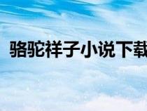 骆驼祥子小说下载txt（骆驼祥子小说下载）
