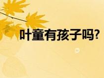 叶童有孩子吗?（叶童为什么不生孩子）