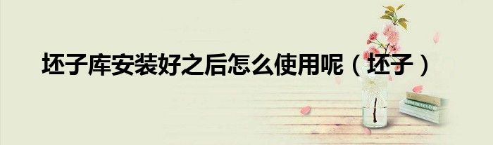 坯子库安装好之后怎么使用呢（坯子）