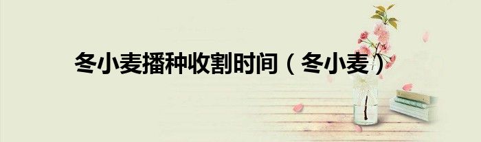 冬小麦播种收割时间（冬小麦）