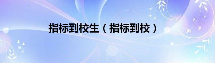 指标到校生（指标到校）