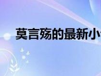 莫言殇的最新小说（莫言殇的全部作品）