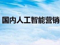 国内人工智能营销神器（国内人工智能公司）
