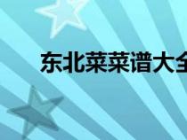 东北菜菜谱大全带图片（东北菜图片）