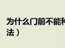 为什么门前不能种枣树（枣树疯病最佳治疗方法）