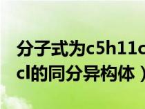 分子式为c5h11cl的同分异构体共有(c5h11cl的同分异构体) 分子式为c5h11cl的同分异构体共有(c5h11cl的同分异构体)