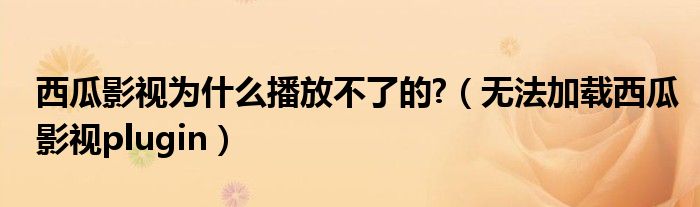 西瓜影视为什么播放不了的?（无法加载西瓜影视plugin）