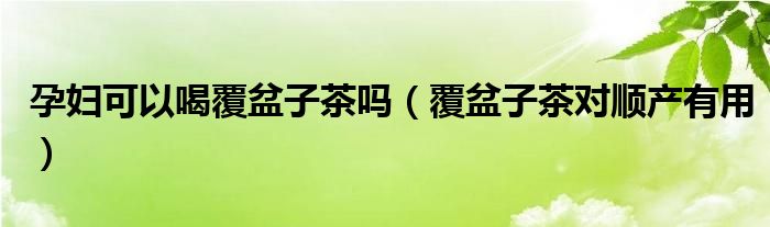 孕妇可以喝覆盆子茶吗（覆盆子茶对顺产有用）
