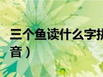 三个鱼读什么字拼音（三个鱼是什么字怎么读音）