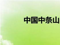 中国中条山战役（中条山之战）