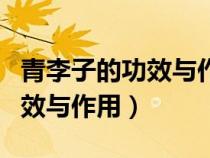 青李子的功效与作用及营养价值（青李子的功效与作用）