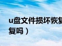u盘文件损坏恢复的办法（u盘文件损坏能恢复吗）