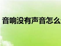 音响没有声音怎么设置电脑（音响没有声音）
