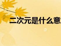 二次元是什么意思秒懂（二次元是什么）