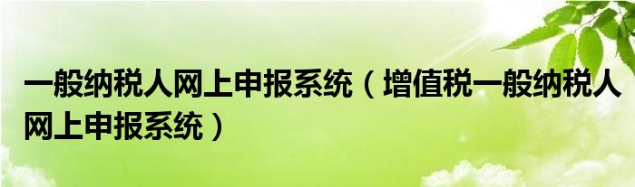一般纳税人网上申报系统（增值税一般纳税人网上申报系统）