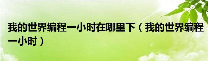我的世界编程一小时在哪里下（我的世界编程一小时）