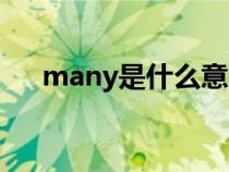 many是什么意思（much是什么意思）