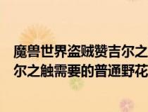 魔兽世界盗贼赞吉尔之触怎么消除(魔兽世界盗贼任务赞吉尔之触需要的普通野花哪儿能找到 希望) 魔兽世界盗贼赞吉尔之触怎么消除(魔兽世界盗贼任务赞吉尔之触需要的普通野花哪儿能找到 希望)
