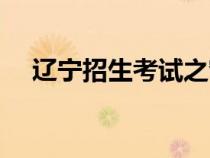 辽宁招生考试之窗（辽宁学考成绩查询）