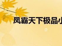 凤霸天下极品小太后小说（凤霸天下）