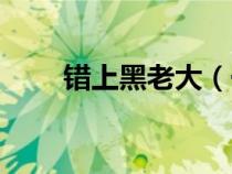 错上黑老大（一个警花三个黑老大）