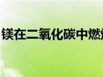 镁在二氧化碳中燃烧是什么现象？请具体说明