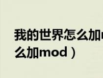 我的世界怎么加mod进去视频(我的世界怎么加mod) 我的世界怎么加mod进去视频(我的世界怎么加mod)