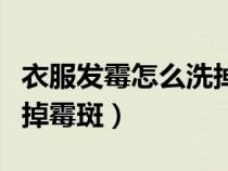 衣服发霉怎么洗掉霉斑牙膏（衣服发霉怎么洗掉霉斑）