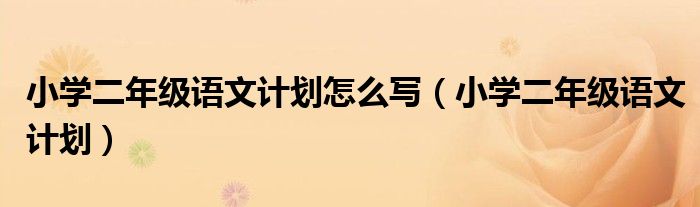 小学二年级语文计划怎么写（小学二年级语文计划）