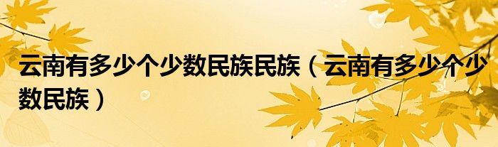 云南有多少个少数民族民族（云南有多少个少数民族）