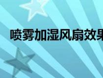喷雾加湿风扇效果怎么样（喷雾加湿风扇）