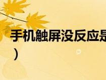 手机触屏没反应是什么问题（手机触屏没反应）