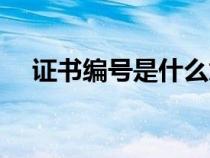 证书编号是什么意思（证书编号是什么）