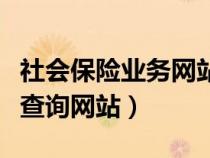 社会保险业务网站个人查询官网（个人健康证查询网站）
