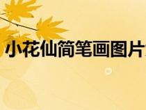 小花仙简笔画图片大全大图（小花仙简笔画）