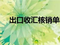 出口收汇核销单样本（出口收汇核销单）