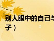 别人眼中的自己与镜子（别人眼中的自己和镜子）
