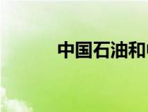 中国石油和中国石化哪个油好？