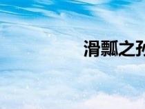 滑瓢之孙第三季（滑瓢）