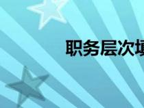 职务层次填什么（职务层次）