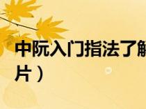 中阮入门指法了解视频（中阮入门指法了解图片）