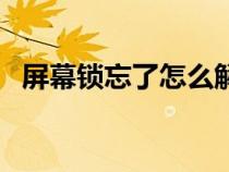 屏幕锁忘了怎么解开（屏幕锁定怎么解锁）