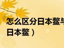 怎么区分日本鳖与中华鳖（如何鉴别中华鳖与日本鳖）