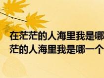 在茫茫的人海里我是哪一个在奔腾的浪花里我是哪一(在茫茫的人海里我是哪一个) 在茫茫的人海里我是哪一个在奔腾的浪花里我是哪一(在茫茫的人海里我是哪一个)