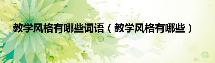 教学风格有哪些词语（教学风格有哪些）