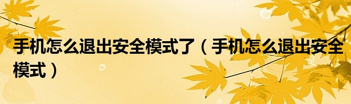 手机怎么退出安全模式了（手机怎么退出安全模式）