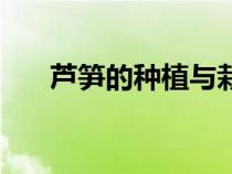 芦笋的种植与栽培技术（芦笋的种植）