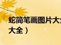 蛇简笔画图片大全 简单画法（蛇简笔画图片大全）
